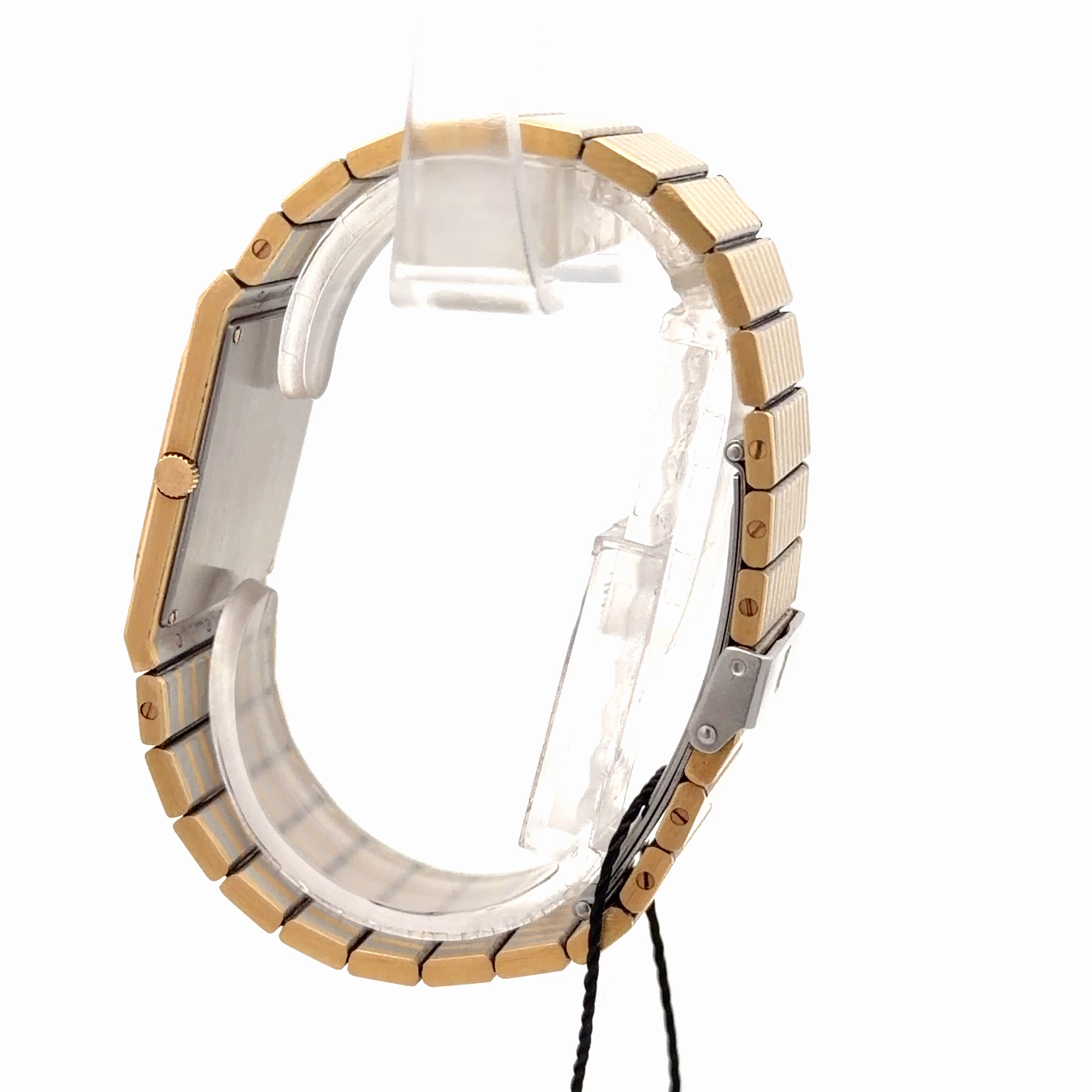 Audemars Piguet Zebra - Image 5